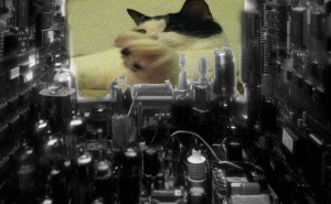 Michiko Anderson From the Computer